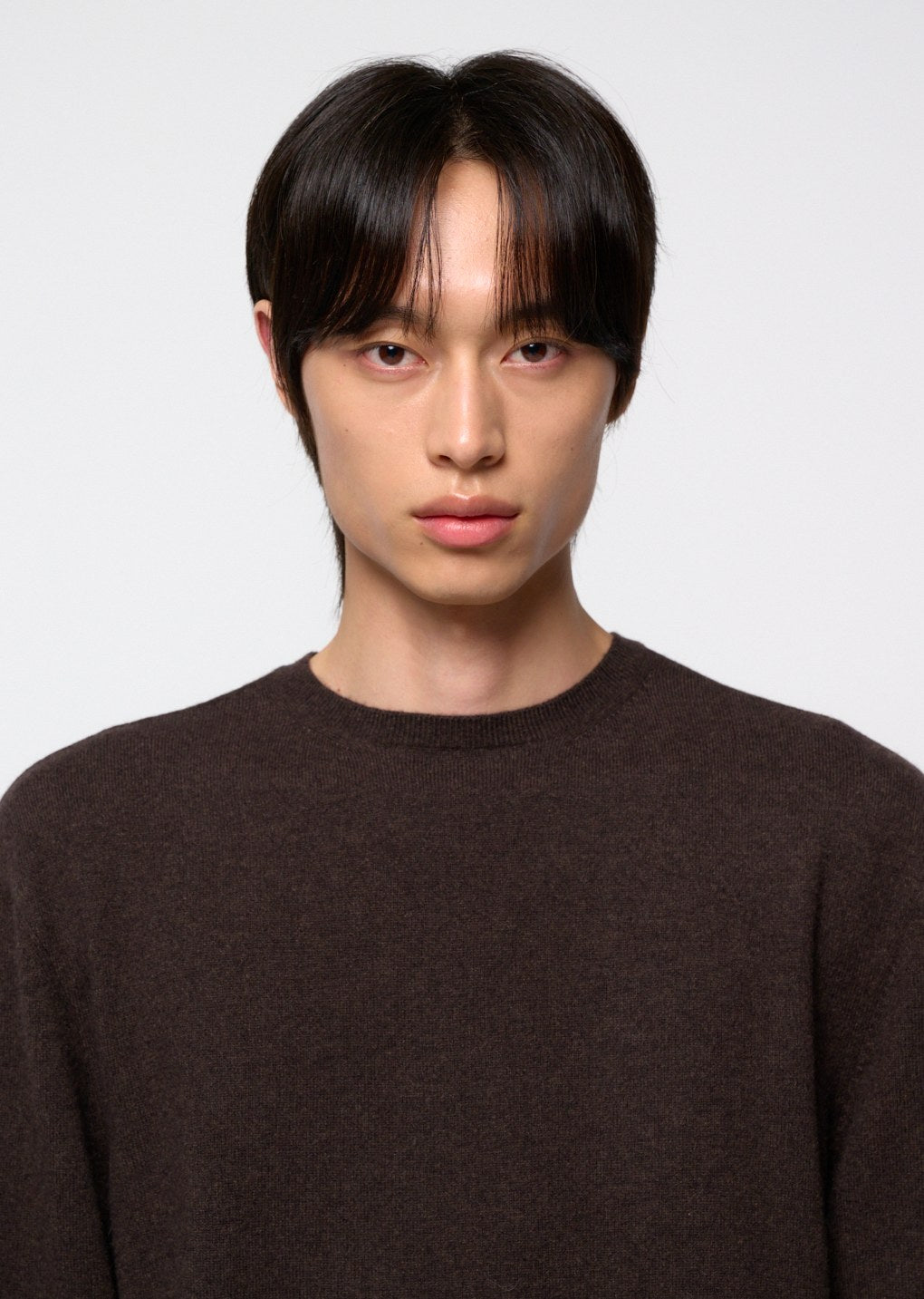 cashmere easy crewneck knit, brown