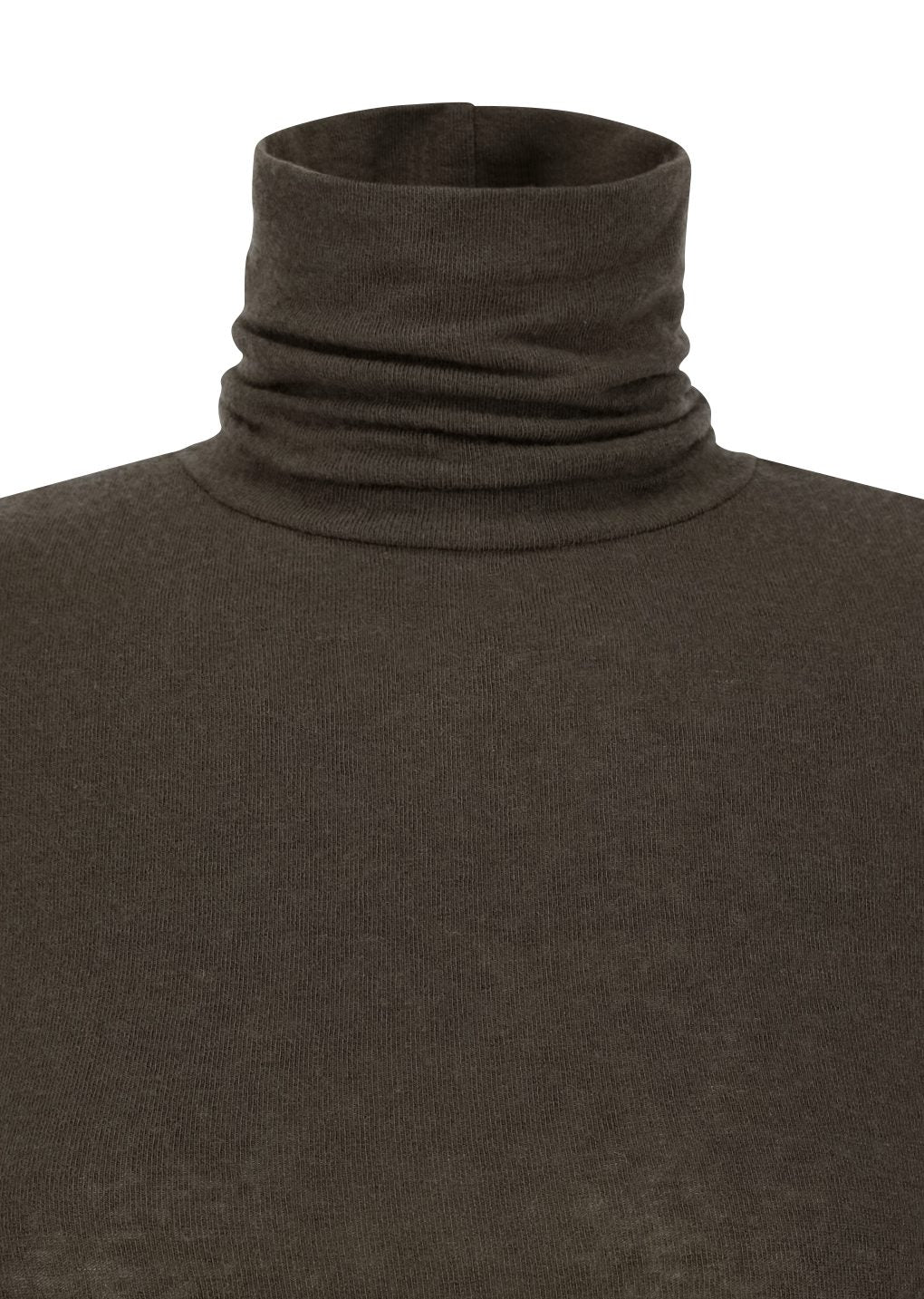 turtle t-shirt, brown