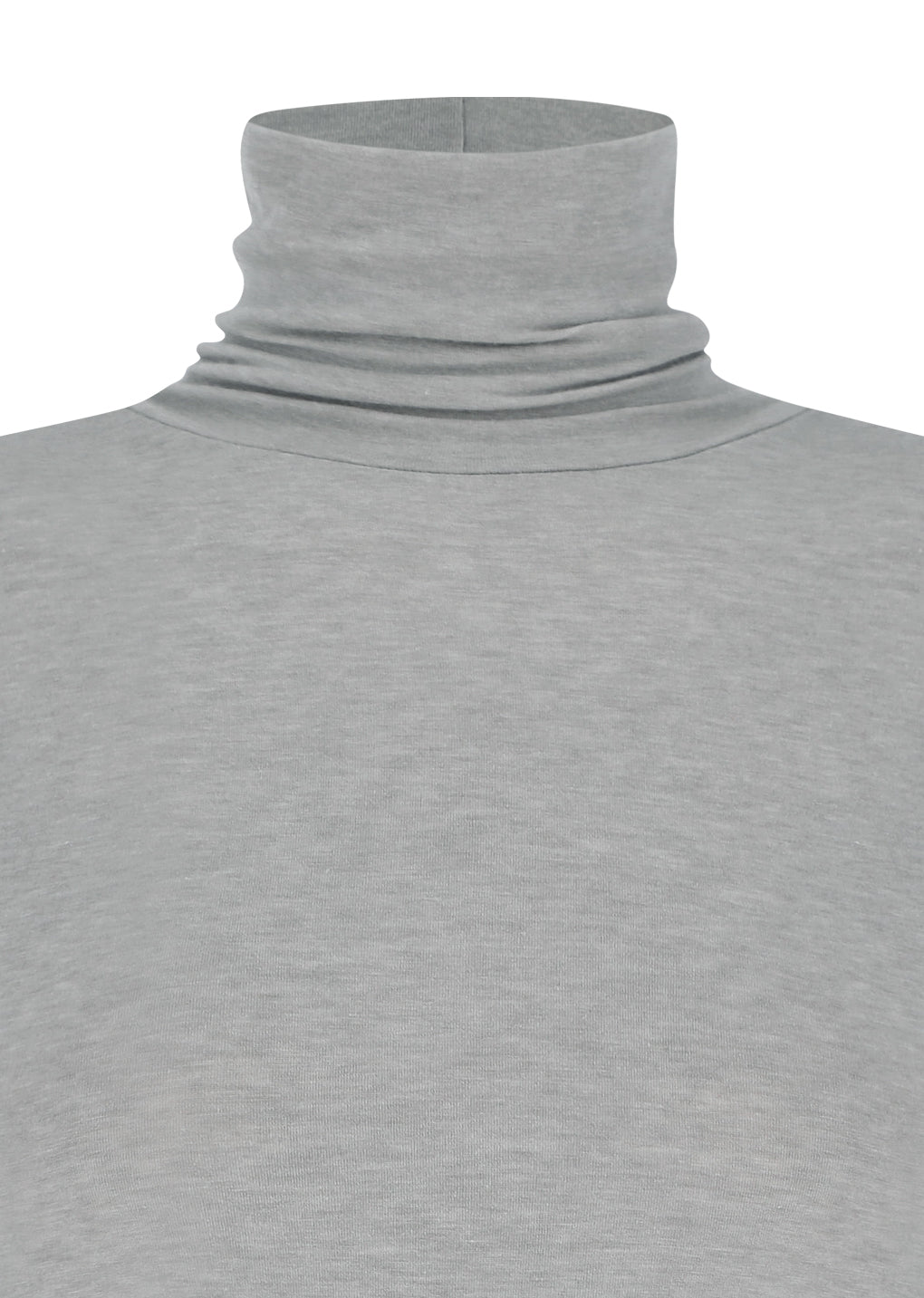 turtle t-shirt, light grey