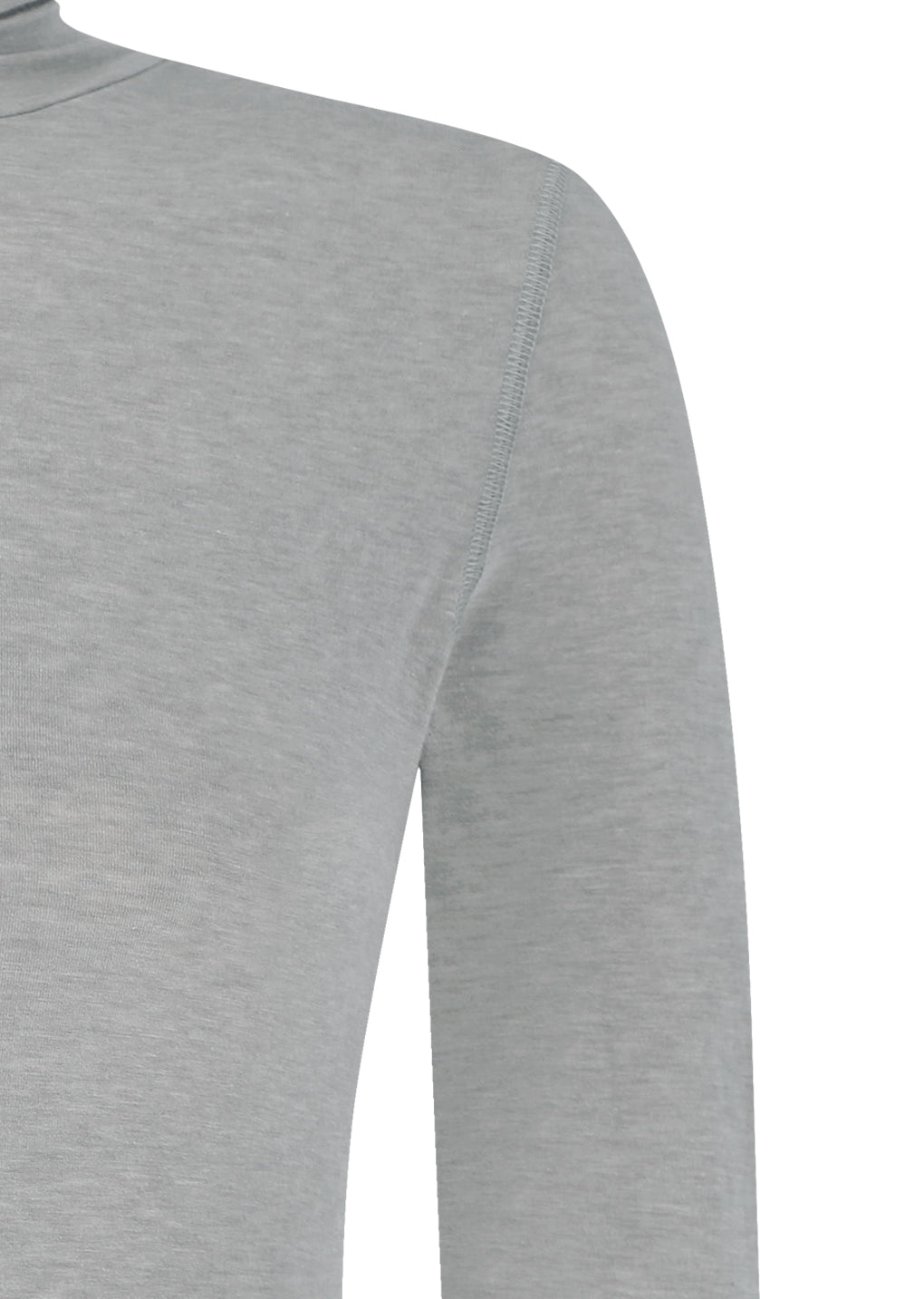 turtle t-shirt, light grey