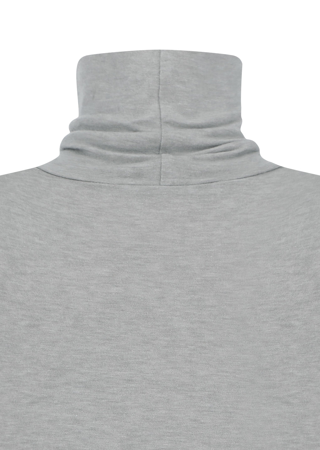 turtle t-shirt, light grey