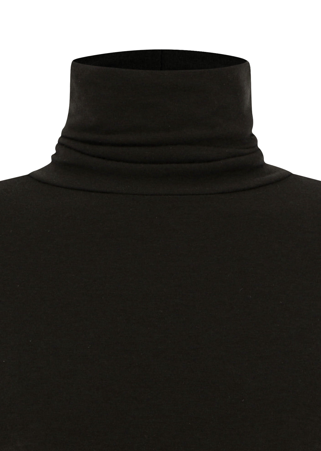 turtle t-shirt, brown