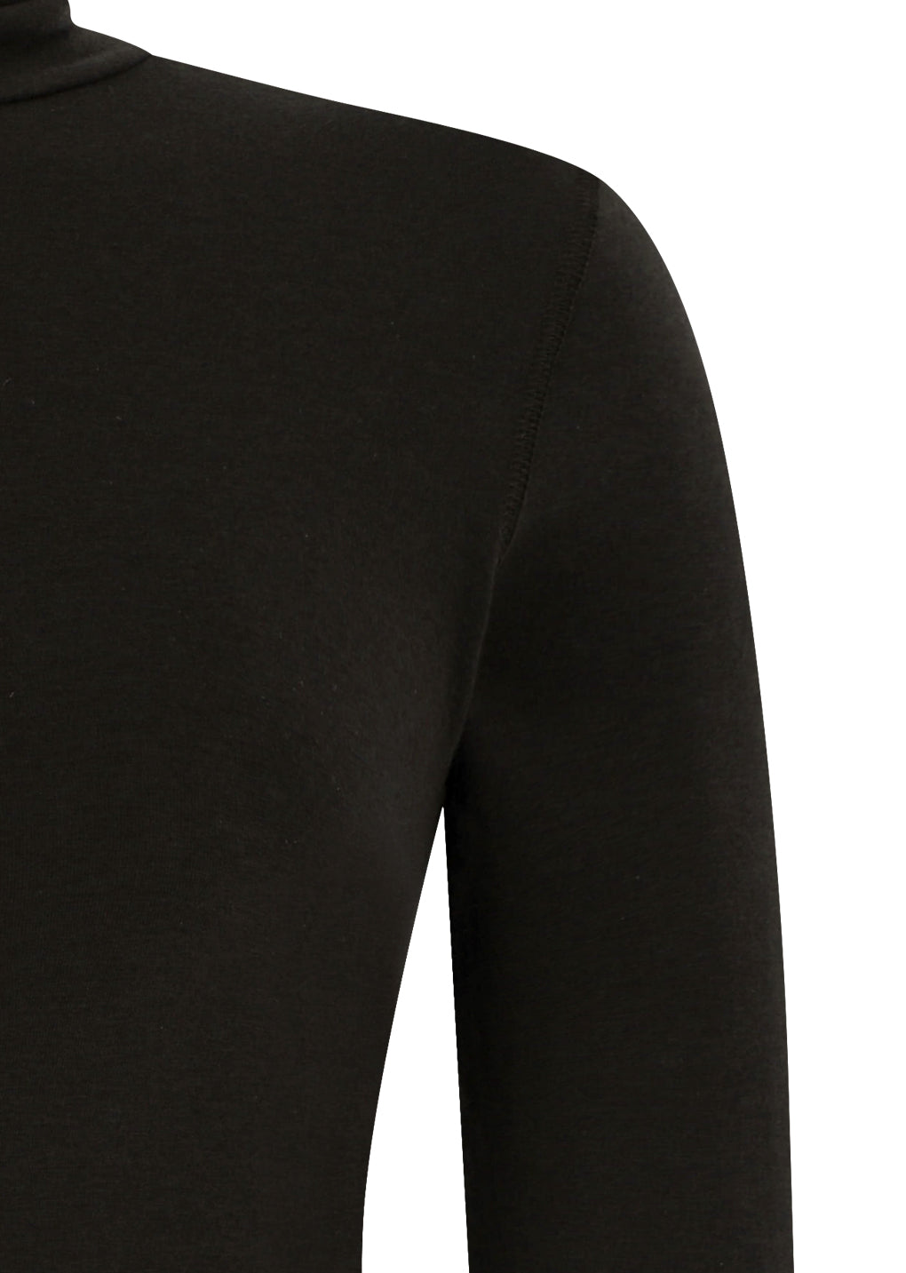turtle t-shirt, brown